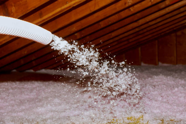Best Eco-Friendly Insulation in Ofallon, IL